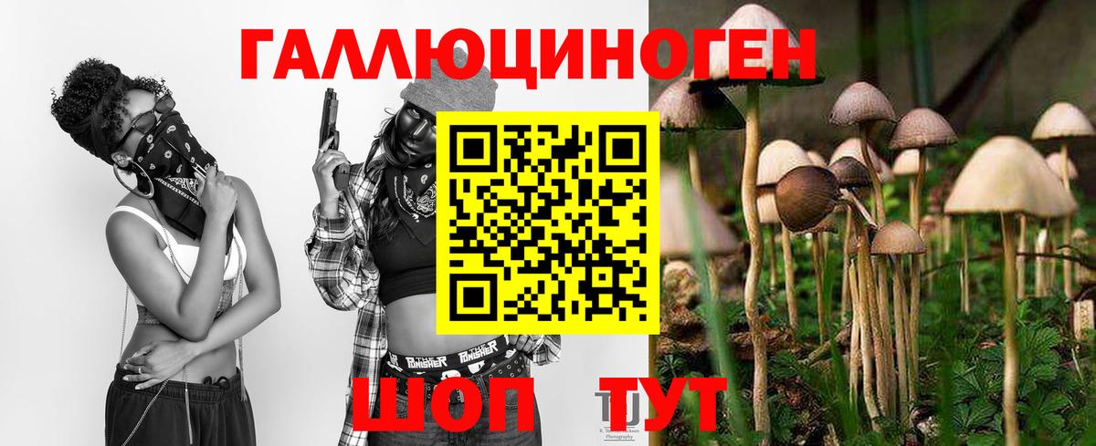 Галлюциногенные грибы Magic Shrooms Павловский Посад